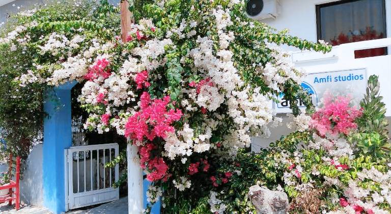 Rental apartment with patio & yard in Kos
