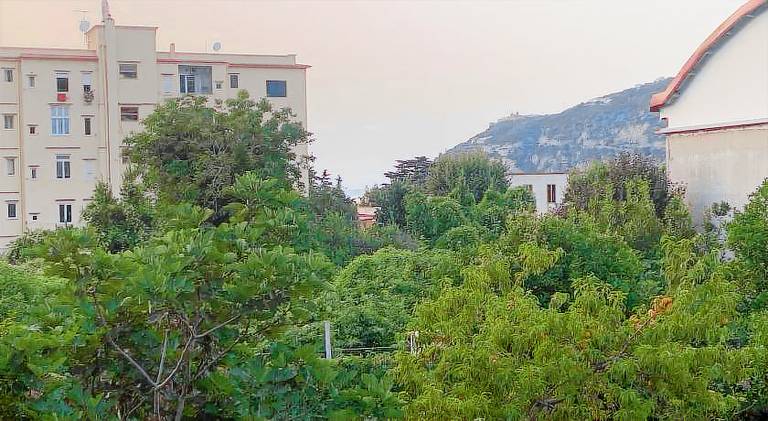 Rental apartment | Suitable for remote work — photo 5