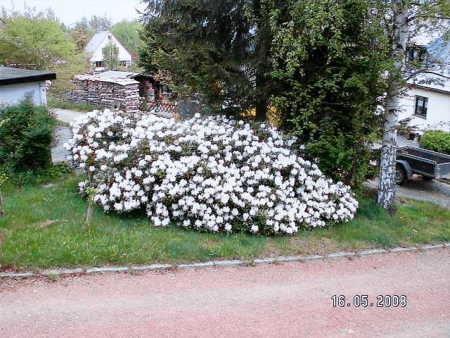 foto4