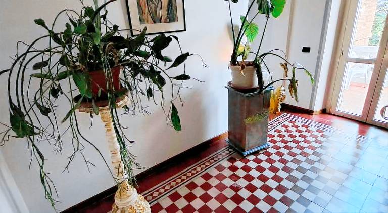 B & B Villa Eden — photo 4