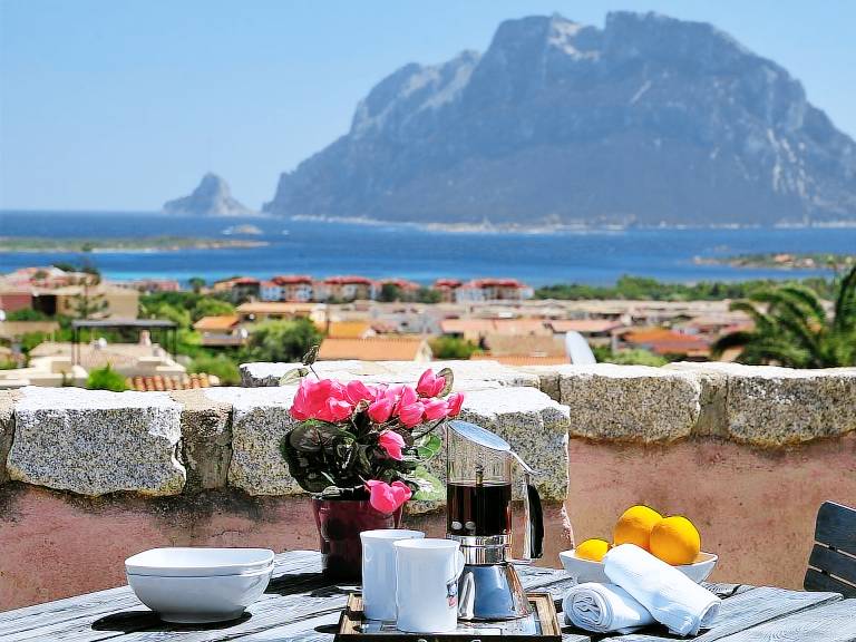 Rental apartment | Pets are welcome in Loiri Porto San Paolo
