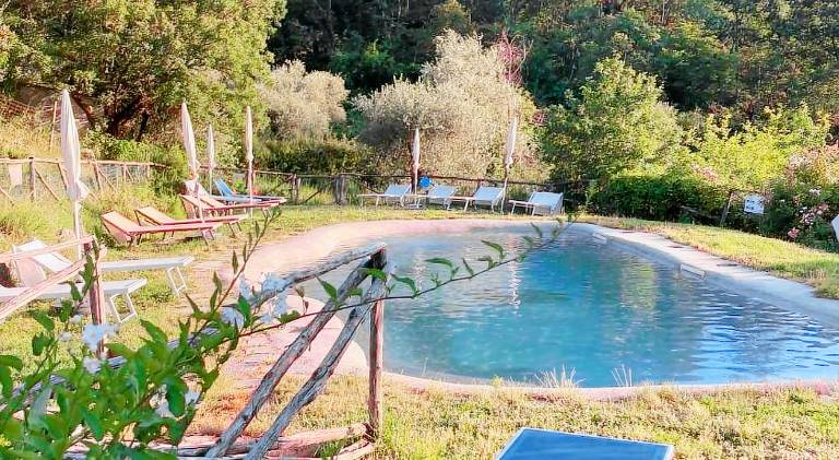 Farm with pool — photo 4