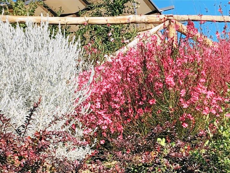 Agriturismo Villa Preselle a Scansano: Appartamento 3 — photo 3