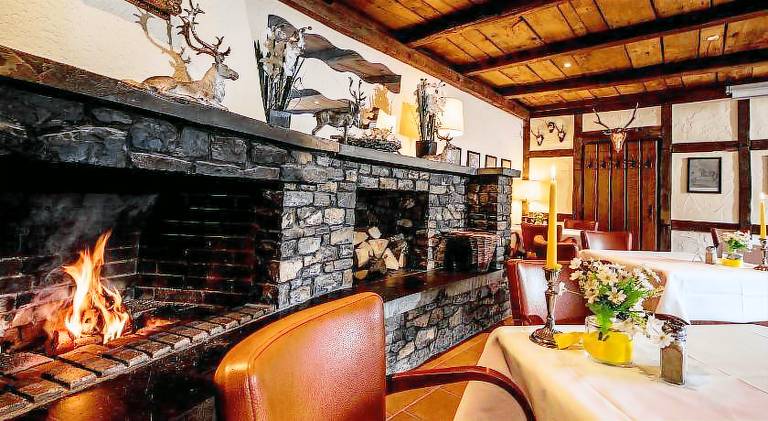 Sauerland Alpin Hotel — photo 4