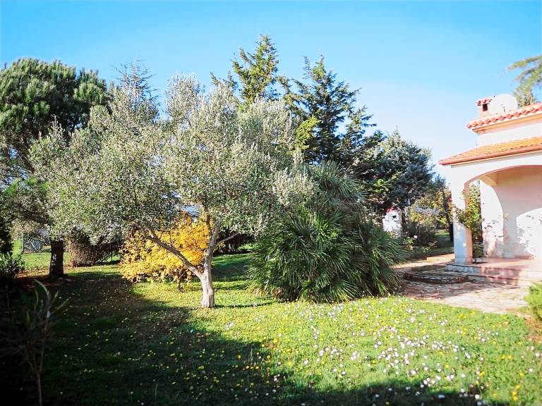 House with patio & BBQ | Dogs allowed — photo 5