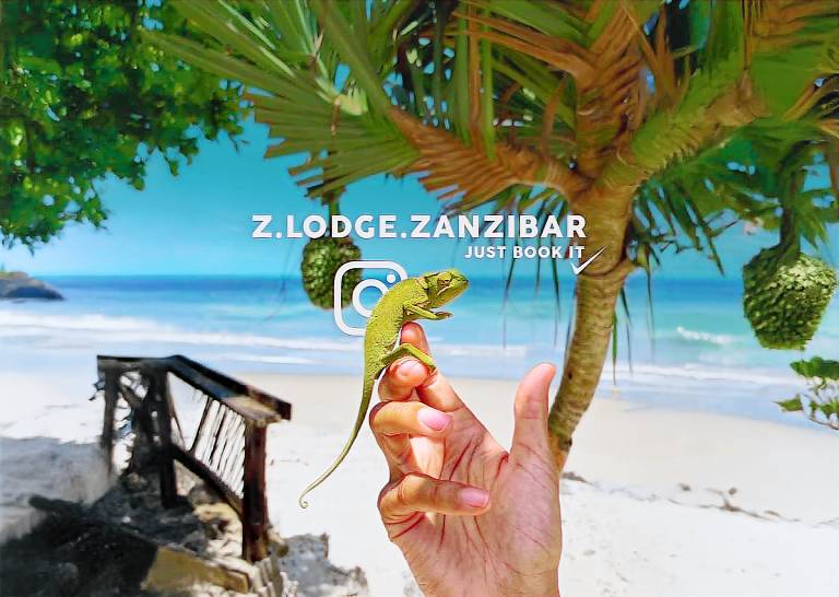 Z LODGE ZANZIBAR in Kiwengwa