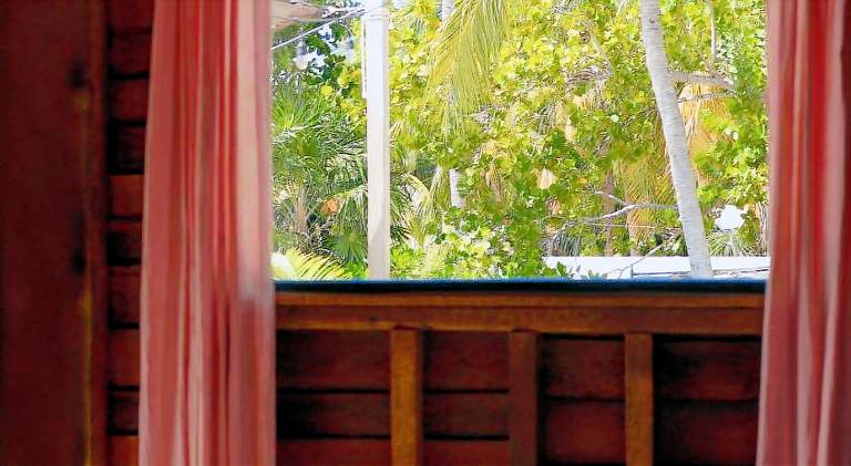 Mapache Hostel — photo 4