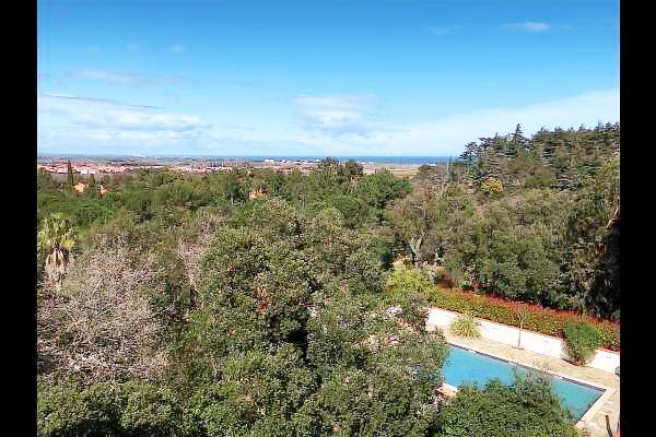 Gite with garden, terrace & pool | Garden view — photo 4