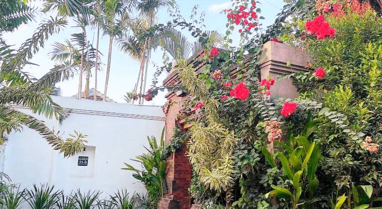 Villa with pool in Canggu