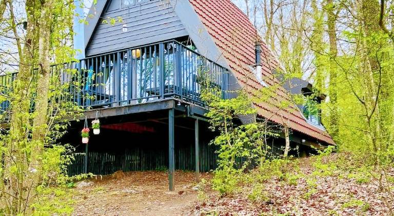Chalet with pool — photo 5