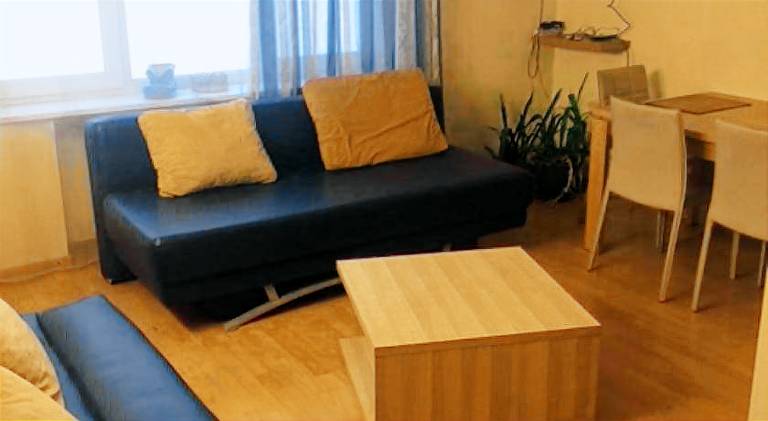 Rental apartment | Pets allowed in Kaunas