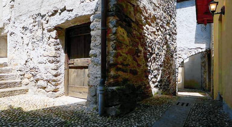 Wild Valley Palm Garden in Valle Onsernone — photo 5