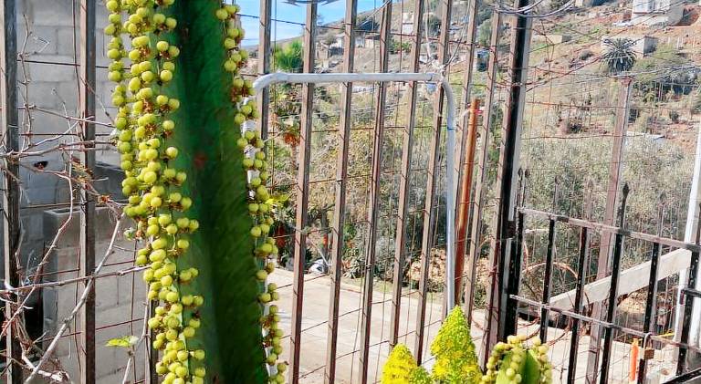 Nice holiday apartment | Pet-friendly in Ensenada
