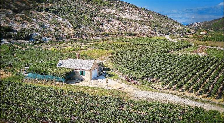 Vacation home with 1 room for 4 persons in Postira