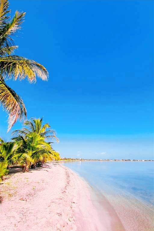 Apartment Placencia