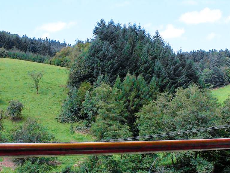 Ferienwohnung Waldkirch