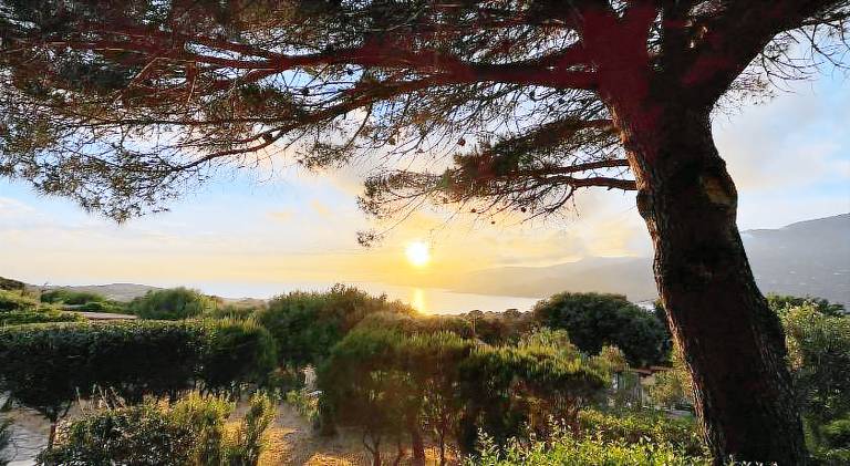 Residence ile de beaute in Propriano