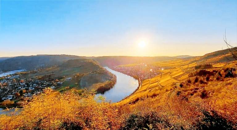 Pleasant tent | Pet-friendly in Bernkastel-Kues