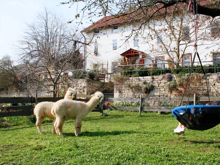 Ferienwohnung  Apolda