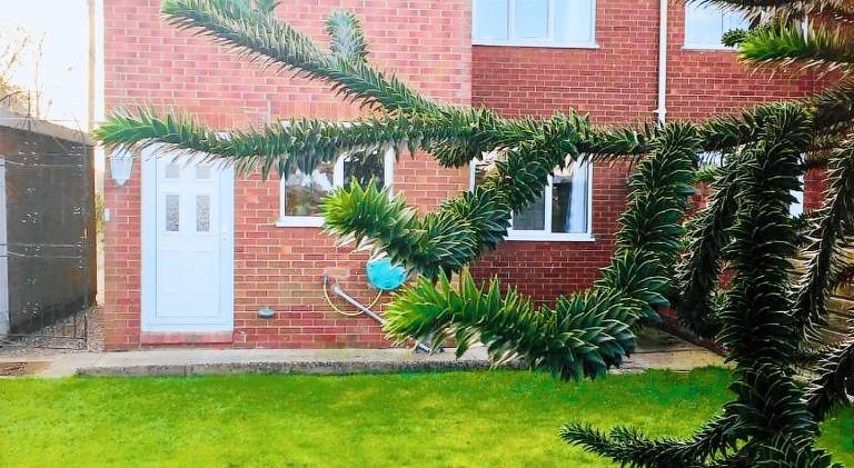 Pleasant house | Pets allowed in Crewe