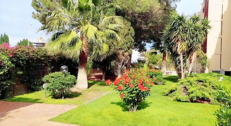 Nice holiday apartment | Pet-friendly in Cagliari
