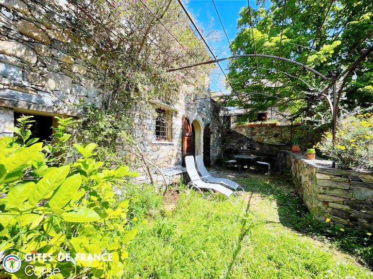 LEVENTE — photo 2