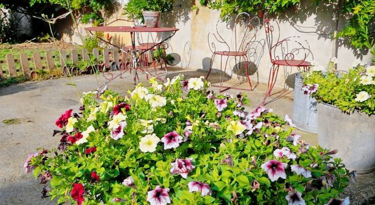 Apartment with 1 room for 4 persons — photo 4