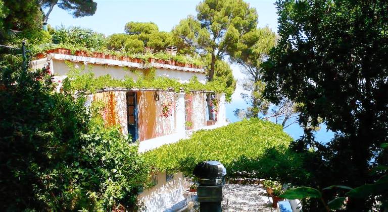 La Casa nel Bosco — photo 5