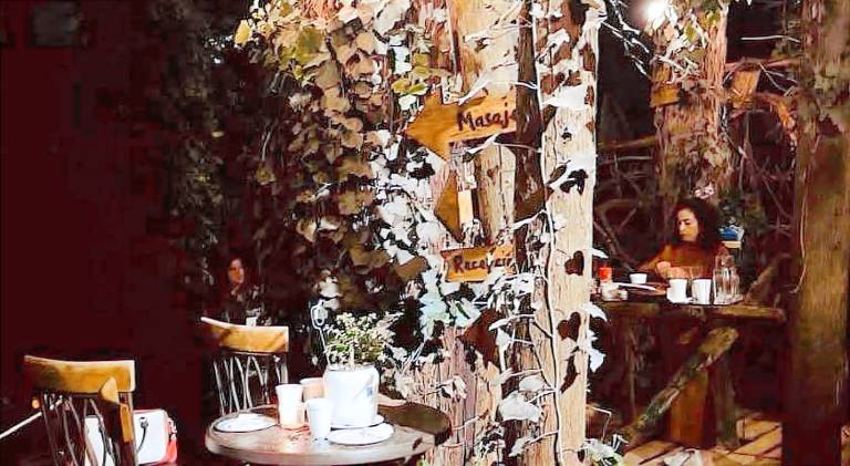 Mindfulness Glamping, Retiro de Yoga, Todo Incluido — photo 4