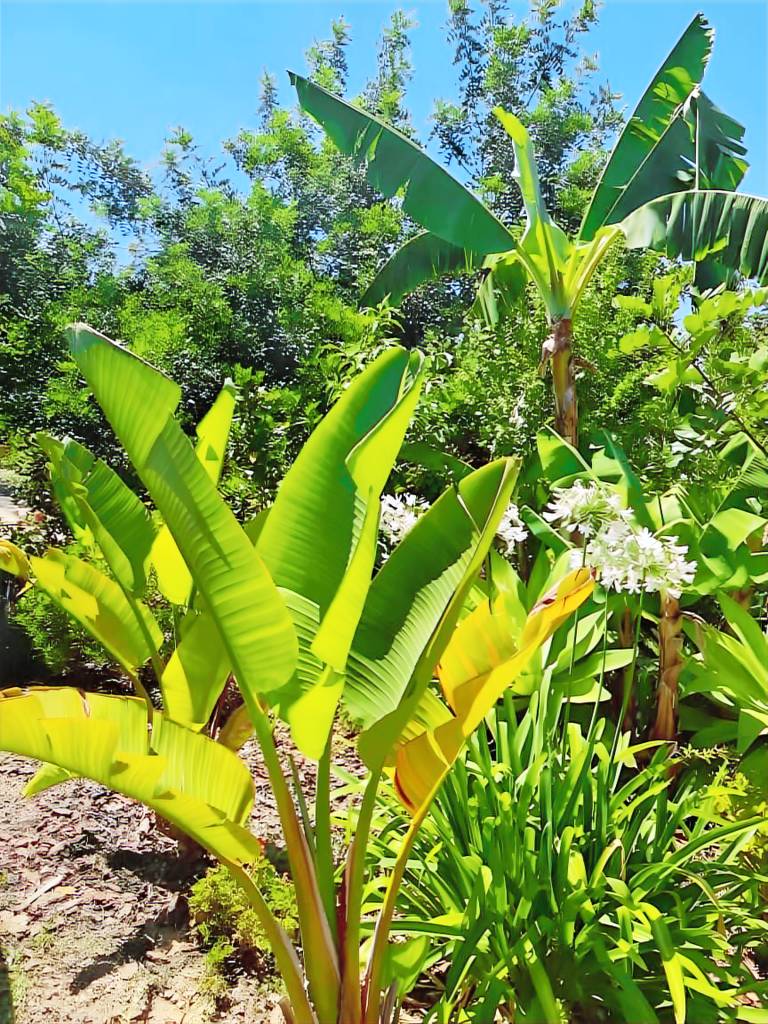 Pleasant villa | Pets are welcome — photo 5