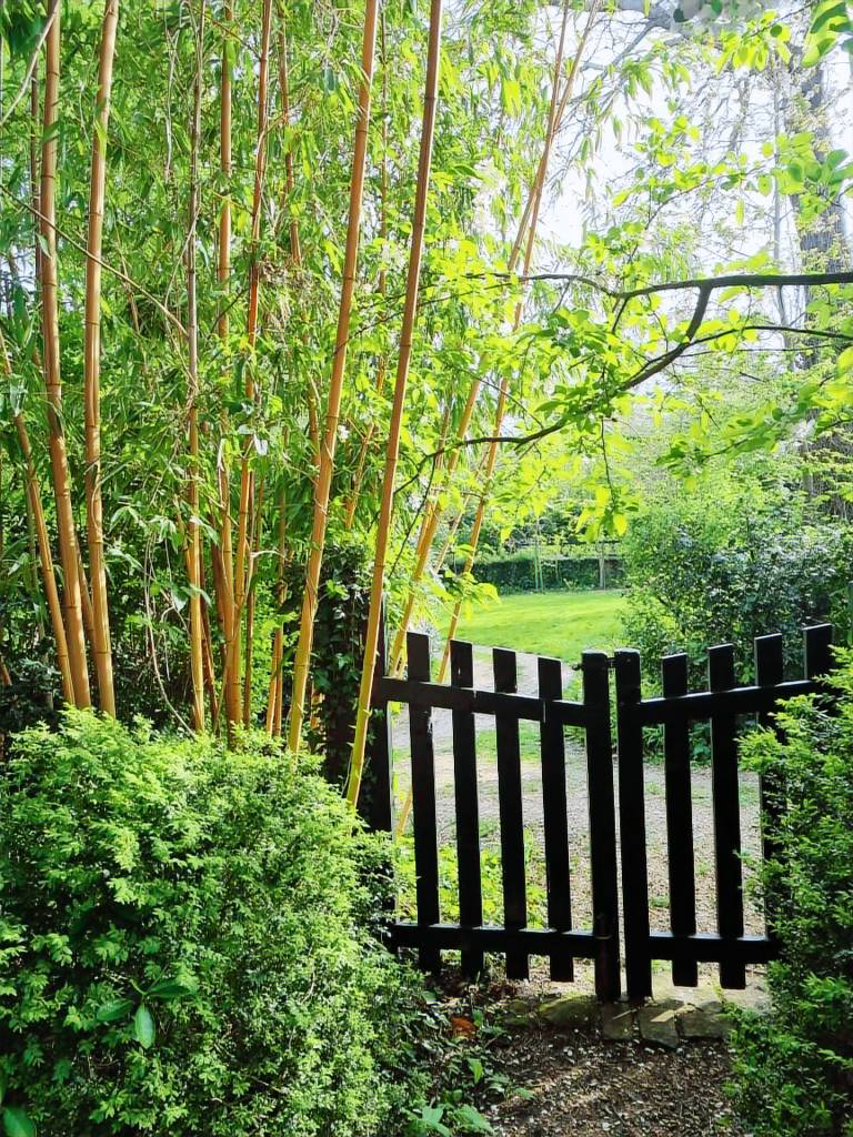 Lovely house with barbeque & garden | Close to the beach | Pets allowed — photo 3
