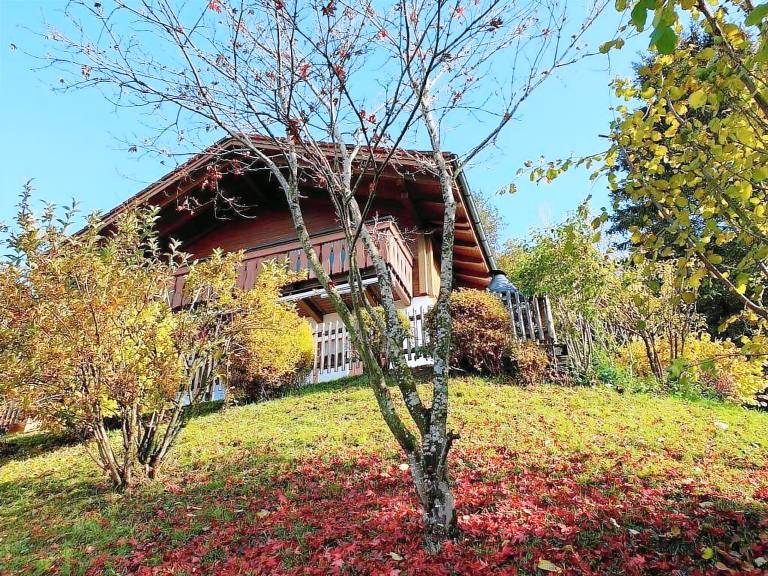 foto3