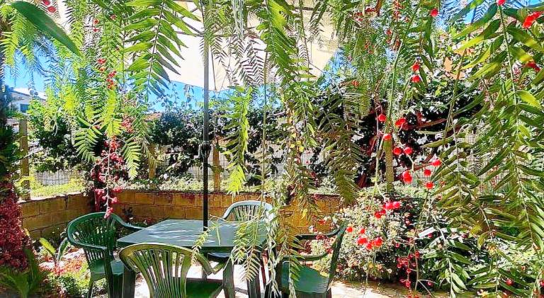La Bouganville B&B — photo 4