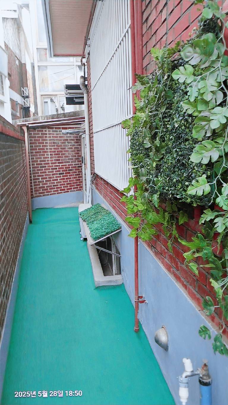 foto7