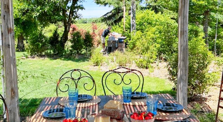 Farm with yard, BBQ & terrace — photo 4