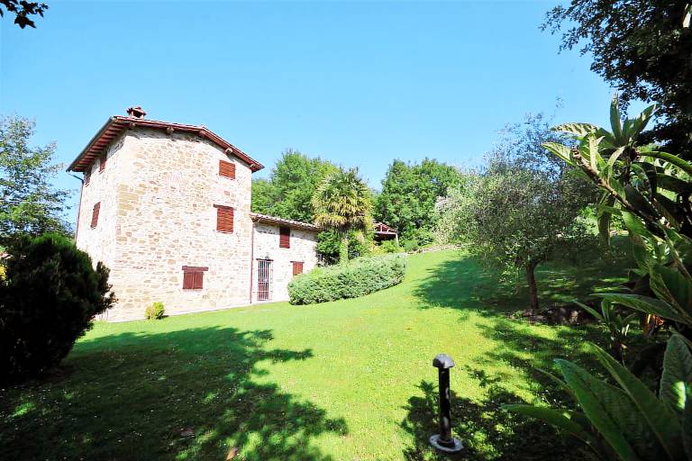 foto1
