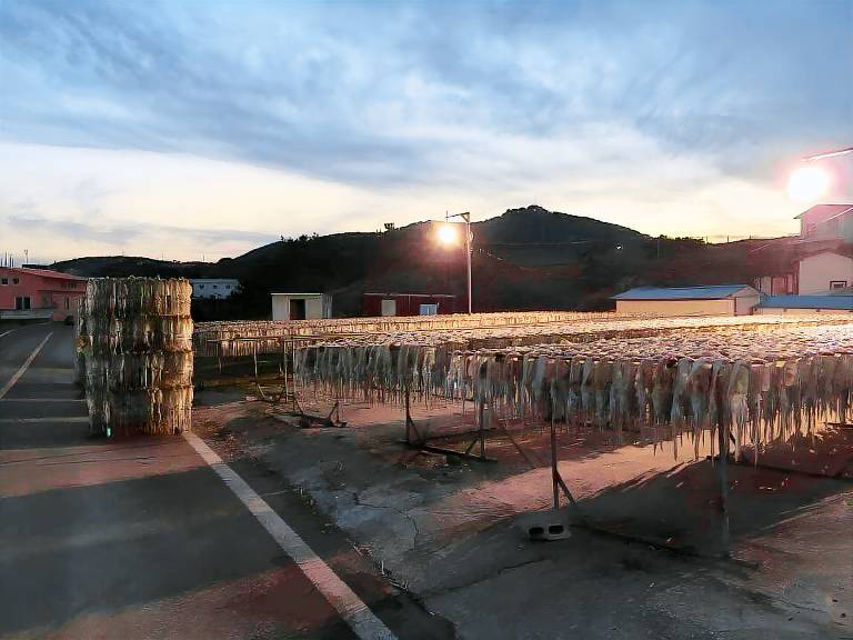 Tobang Red Clay Pension — photo 4