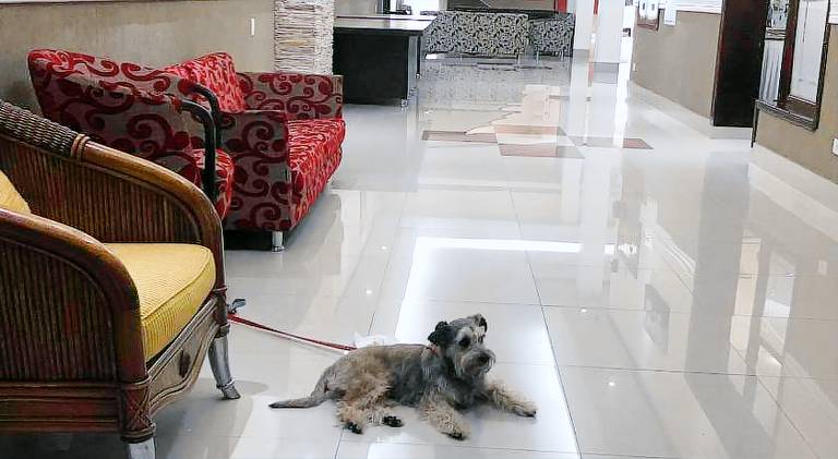 Hotel Estacao Express — photo 4