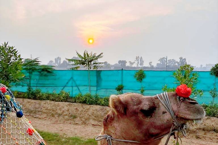 The Ashoka Farms & Resort