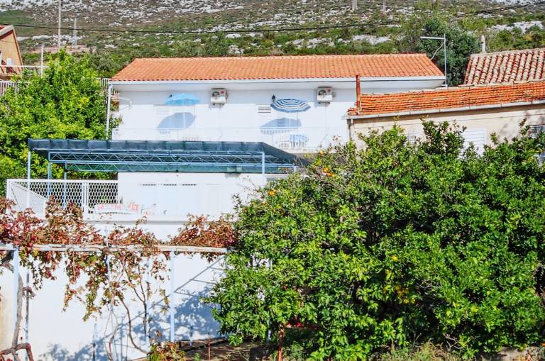 Ample house with barbecue, yard & patio | Sea view | Dogs allowed — photo 2