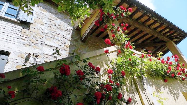 Tenuta di Fassia: Appartamento Rosmarino — photo 2
