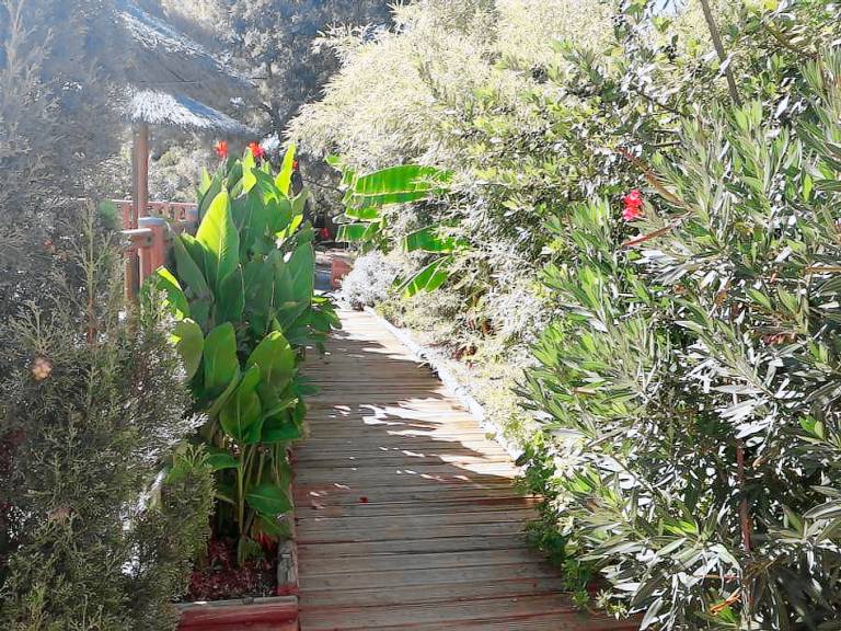 Mobile home with patio & heated pool — photo 2
