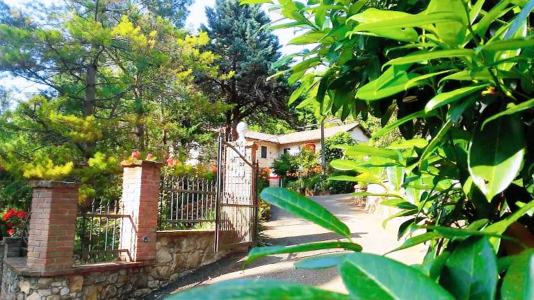 Apartment 'Casa Dei Nonni' with Mountain View, Private Terrace and Wi-Fi — photo 2