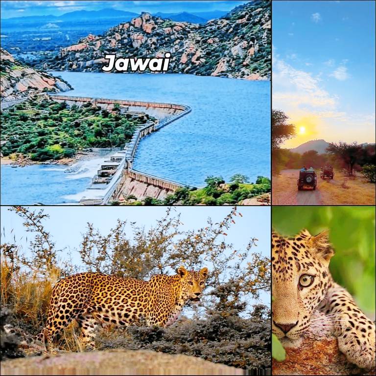 Apartment Jawai Bandh