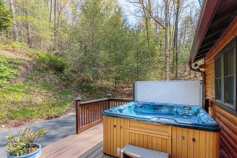 Cabin  Maggie Valley