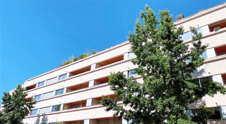 Fully equipped beautiful rental apartment | Pets allowed — photo 3
