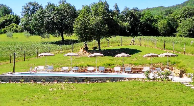 Farm with garden, pool & BBQ — photo 4