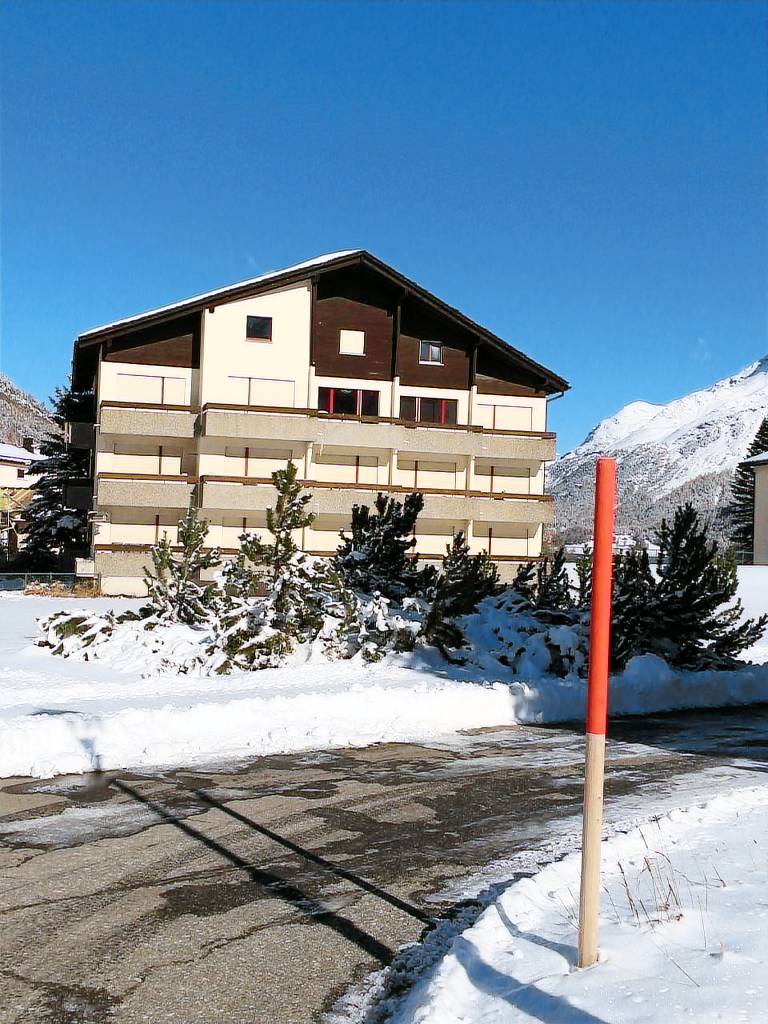 Ferienwohnung mit Hund in Sils im Engadin, Sils Maria für max. 2 Personen Ferienwohnung mit Hund in Sils im Engadin, Sils Maria für max. 2 Personen