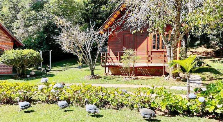 Beautiful house | Dogs allowed — photo 4