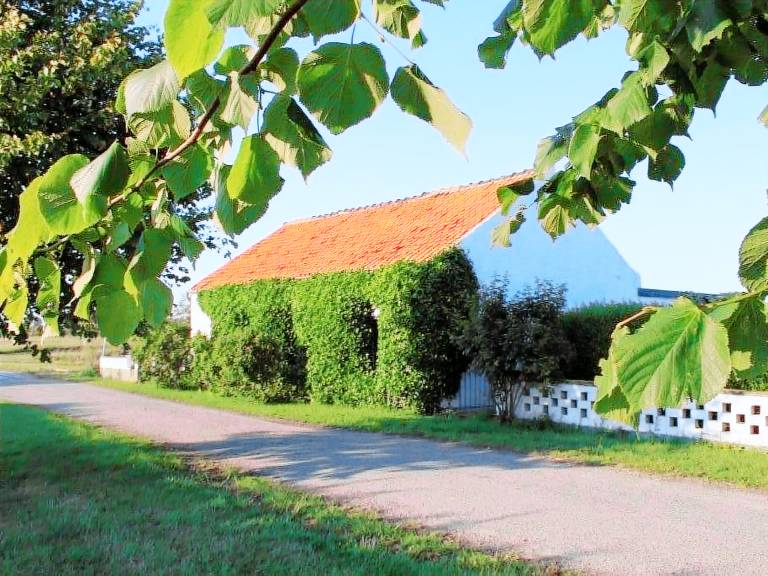 Ferienhaus mit Hund in Groede, Nieuwvliet f&uuml;r max. 7 Personen